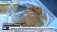 Fake meat ...  są napisy pl ...