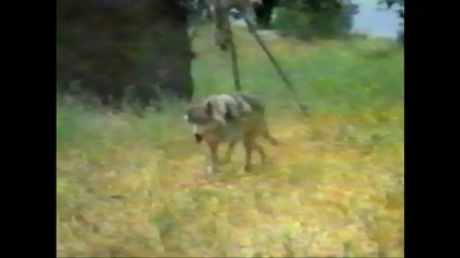 Hot Shots .  Odlotowcy Pirat..VID-1717702407633 (3)