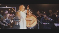 KRUT |     | live with chamber orchestra