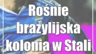 Rośnie brazylijska kolonia w Stali Kraśnik