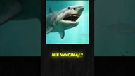 Co gdyby MEGALODON NIGDY NIE ZNIKNĄŁ? #shorts #viral #dc #ciekawostki #megalodon #fyp