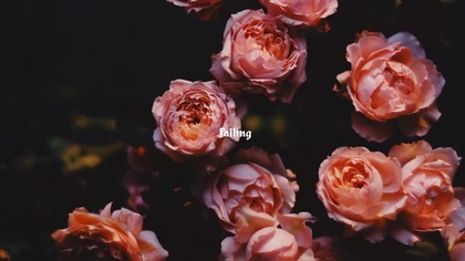 EGGENBERG - Falling