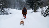 Sypie Śnieg - Gracjan Roztocki