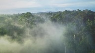 Rajska wyspa Borneo