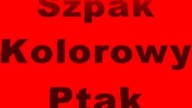 Michał Szpak Władca Naszych Serc