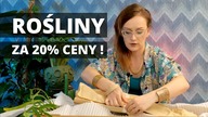 Rośliny kolekcjonerskie za 20% ceny! Jak tanio kupiłam rośliny do domowej kolekcji