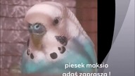 Ewolucja logotypów polskich stacji