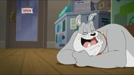 TOONCAST LA - 07-05-2022 - Continuity