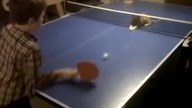 Kot gra w ping-pong-a