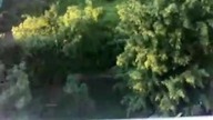 Bielany -Żeromskiego