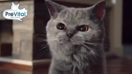 Stopklatka Poland [18.12.2024] - Continuity