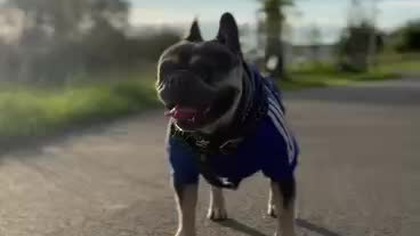 ce13820d-d9aa-43f2-823c-700ac48f05ea