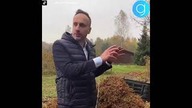 HIT! Janusz Kowalski radośnie hasa po winnicy  Uczy się metody szampańskiej