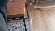 Czarnek pokona Tuska w wyborach?