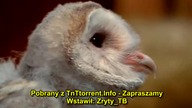 02. Maszyna czasu - Czas Zycia