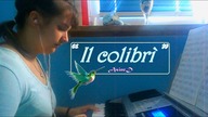 AsineD - Il colibrì