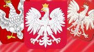 Dlaczego polski orzeł wygląda tak, jak wygląda