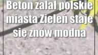Beton zalał polskie miasta Zieleń staje się znów modna