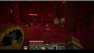 This piglin enjoyed his sword for quite a long time #minecraft #game #gaming #Hoglin #Short #Shorts