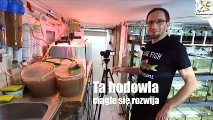 Hodowla ryb Kosmo  Ruda Śląska