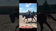 Mini vlog ze stajni: skoki na 2 koniach