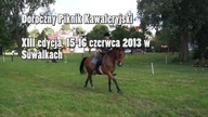 Piknik Kawaleryjski, 13 edycja 2013, Suwałki, HD