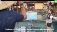 DOCUBOX RU - 28-05-2023 - Fillery