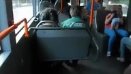 Trolling