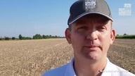 Będziemy Jeść Robaki | Hektar Wiedzy | żywność