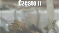 Wigilia dla opuszczonych