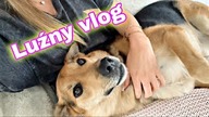 LUŹNY VLOG
