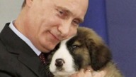 Władimir Putin, wierny przyjaciel zwierząt. Skąd w nim tyle czułości? [Śmieszne]