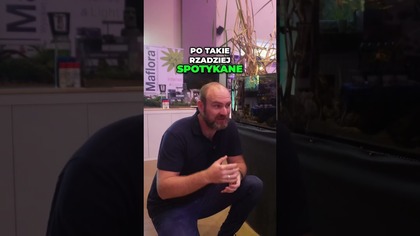 Poszedłbyś na taką wystawę ?  Śląski Weekend Akwarystyczny XIII 