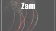 Zamość: MARATON GROZY - daj się rozerwać!