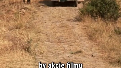 OJCIEC CHRZESTNY miał wyglądać zupełnie inaczej? #ojciecchrzestny #godfather #ciekawostki