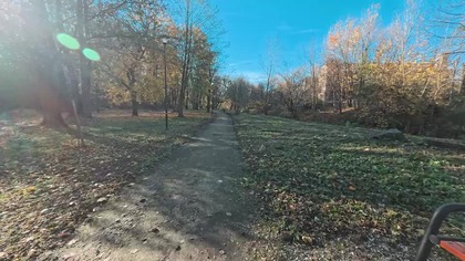 Park, Kamieniec, Zbrosławice, Tarnowskie Góry, Katowice, Polska