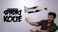 SPADAJ KOCIE | Poszukiwacz #481