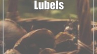 Lubelskie.  Nietypowe znalezisko podczas grzybobrania