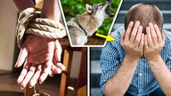 Chłopiec oddał swoje ostatnie jedzenie, aby nakarmić wilka, Wilk bardzo szybko się mu odwdzięczył.