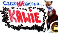 Czego nie wiesz o...  KAWIE  | iWiesz #03