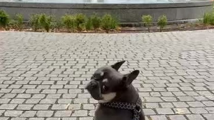 fe5eb95d-e80e-45df-a1ff-526b32c503f6