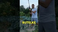 JAK OTWORZYĆ PIWO Z WIATRÓWKI #shorts