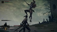 Leonine Misbegotten - (rl1/no hit/talismans/skills/meta/affinities/buffs)