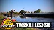 Taktyka na kanałowe leszcze - TYCZKA