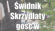 Świdnik: Skrzydlaty gość w mieszkaniu