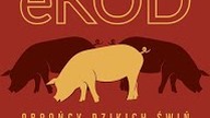 Dziki - unpublished