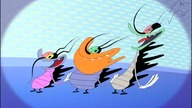 Oggy and the Cockroaches - The Ancestor