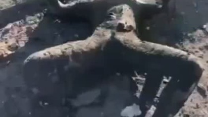 Wakacje moskowickich okupantów na ukrainie