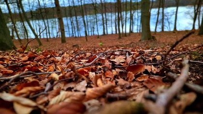 Another adventure with my autistic son - Birds Lake