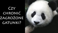 Czy warto chronić zagrożone gatunki?